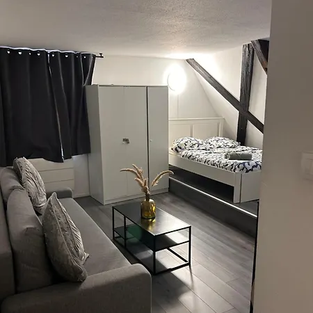 : Hyper Centre Apartment Strasbourg